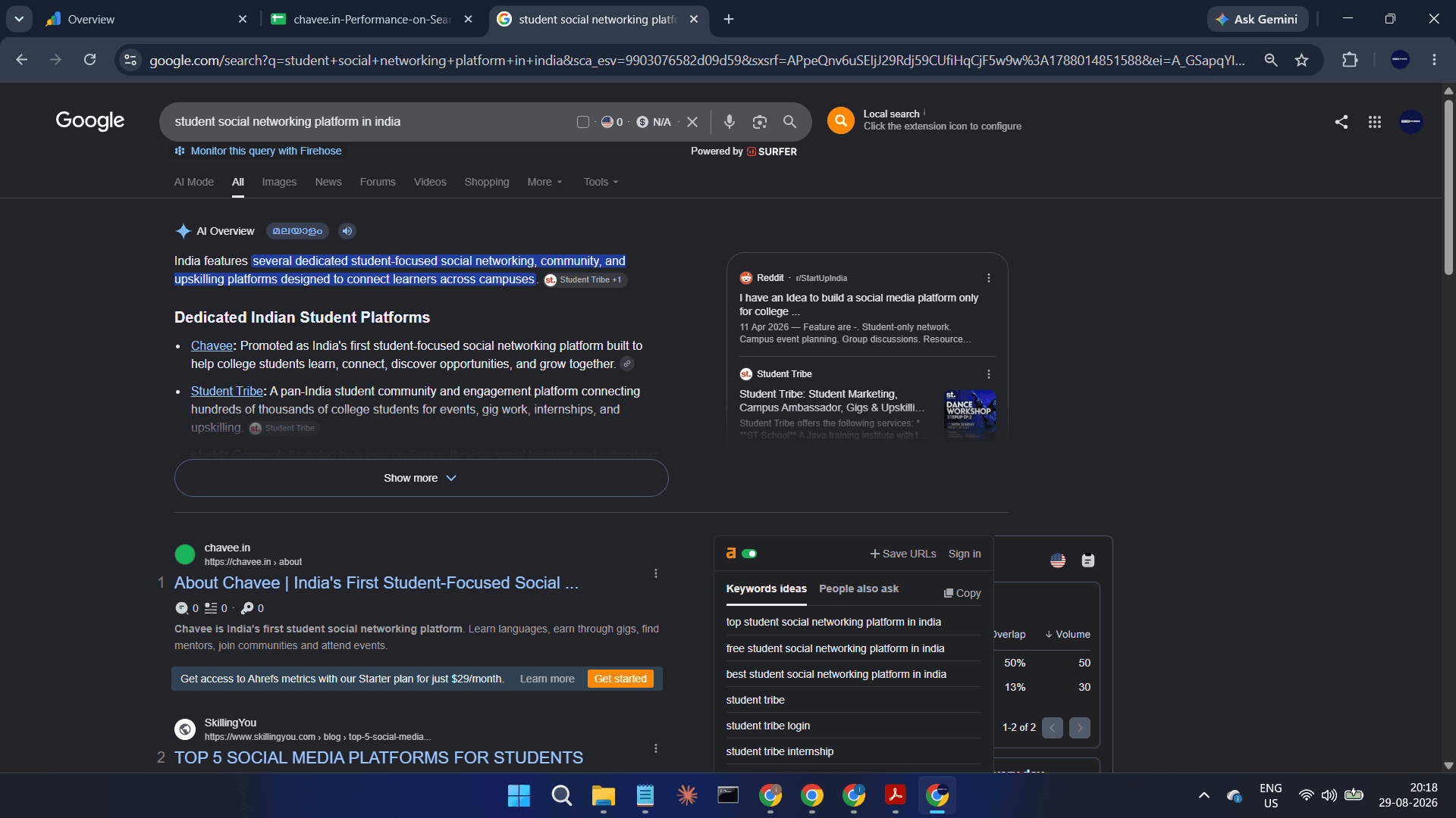 CHAVEE — CHAVEE — SEO Case Study